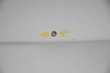 фото thumb №9, Кришка задня зад range rover sport l320 камера