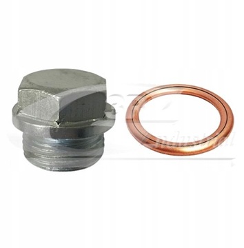 фото thumb №1, Винт + прокладка spustu масла renault master ii