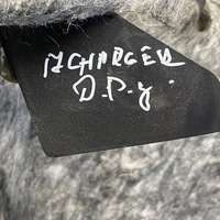 фото thumb №9, Dodge charger 2017 правая сторона обшивка / обивка / багажника