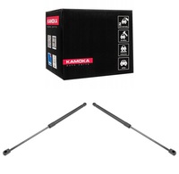 фото thumb №1, Амортизатори пружини газові кришки багажника renault scenic ii grand scenic