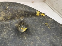 фото thumb №7, Toyota yaris 4 gr шумоізоляція капот двигуна