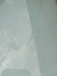 фото thumb №2, Стекло ford focus mk4 перед oryg.