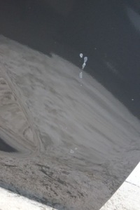 фото thumb №13, Двері правий перед kia sportage iii 1k