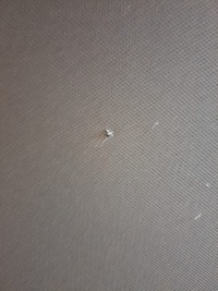 фото thumb №7, Панорама audi a4 b9 універсал 8w9877041b