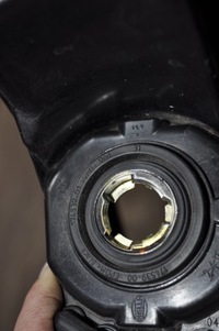 фото thumb №6, Vw polo 6r галоген свет противотуманные правые 174159-04