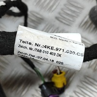 фото thumb №5, Audi e-tron 2019 перед сторона правая жгут трубопровод дверь передних