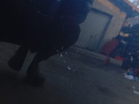 Купити Капот кришка двигуна chrysler 300c 09r pbl, фото thumb