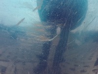 фото thumb №11, Бампер передний перед mazda v 5 lift