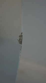 фото thumb №9, Двері лівий перед suzuki swift mk6 3d