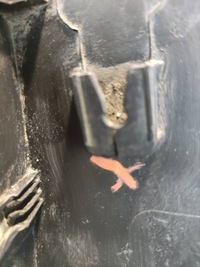 фото thumb №8, Hyundai santa fe iii 3 13- накладка молдинг крыла правый перед 877122w000