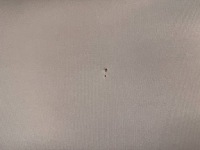 Renault grand scenic 3 потолок потолок Киев, фото thumb