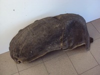 фото thumb №1, Подкрылок правый задняя nissan qashqai j11 13-