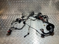 фото thumb №1, Жгут лонжерон левый bmw 1 f40 1.5 d