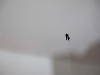 фото thumb №9, Trafic ii vivaro дверь перед левая белый 01-14