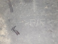 фото thumb №9, Renault kangoo 3 iii 07-13 бампер передній перед