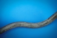 фото thumb №10, Шланг фара audi a4 10- le