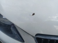 фото thumb №7, Капот кришка двигуна seat ibiza iv 08-