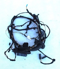 фото thumb №1, Жгут дверь правый левый задняя bmw f10 f11 9240897