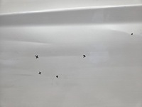 фото thumb №9, Двері ліва передні перед bmw 1 f20 f21