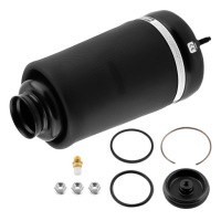 Подушка пневмоподушка do mercedes x164 w164 1643205813 Доставка, фото thumb