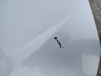 Капот renault laguna 2 рестайлинг  цвет ted69 2005-2007 оригинал Недорого, фото thumb