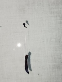 фото thumb №6, Скло передня nissan qashqai 2014- камера датчик acustic pas оригінал ry