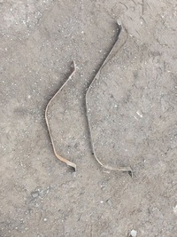 фото thumb №16, Механізм двірник перед переднє fiat panda ii 2002r