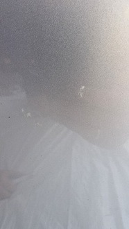 фото thumb №10, Opel meriva b дверь правые передние правые перед z157