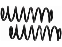 фото thumb №1, Пружины задняя sachs 994 988