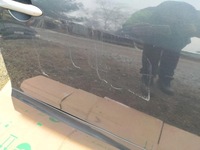 фото thumb №10, Дверь правый перед renault scenic iii teb66 2008- teb66