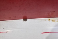 фото thumb №5, Капот кришка двигуна біла iveco daily 6 vi 14-