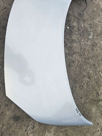 фото thumb №3, Капот renault scenic ii tea19