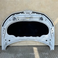 фото thumb №5, Капот комплектная skoda kamiq 2020 rok