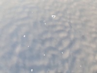 фото thumb №5, Капот кришка двигуна audi a8 d3 рестайлінг 05-09 lz5d