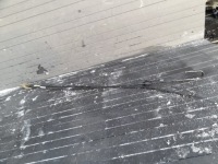 фото thumb №1, Citroen c-elysee 2013 druty стрижні петлі кришки