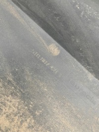 фото thumb №7, Vw golf vii sportsvan 510807421f бампер задний pdc