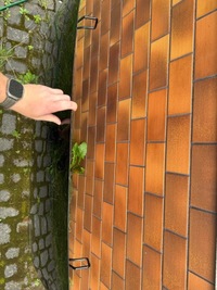 фото thumb №5, Volvo v40 ii 12- 31424258 капот крышка двигателя оригинал