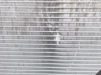 фото thumb №11, Maserati ghibli levante quattroporte радиатор