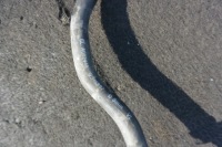 Купить Шланг датчик вакуумa tesla model s eu, фото thumb