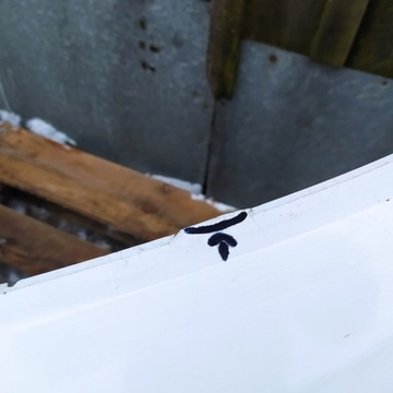 фото thumb №7, Toyota proace city 19r- бампер перед переднє