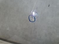 фото thumb №2, Стекло лобовое toyota c-hr 2022r камера k6 оригинал