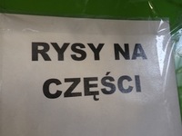 фото thumb №7, Крила лівий передній audi a2 03r