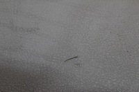 фото thumb №5, Підголівник сидіння подвійний правий перед vw lt 35