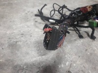 фото thumb №6, Swap двигуна volkswagen phateon 3.2 v6 ayt volkswagen phaeton