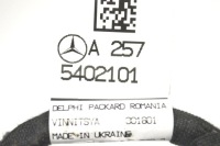 фото thumb №5, Mercedes-benz cls c257 2019 ліва сторона джгут трубопровід двері передніх