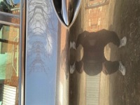 фото thumb №5, Дверь левая задние bmw f10 b90 sophistograu