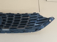 Решітка  fiat tipo 2 решітка радіатора Зі Шроту, фото thumb