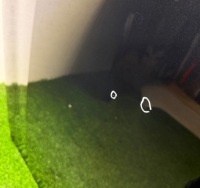 Капот крышка двигателя bmw 5 g60 g61 оригинал Недорого, фото thumb