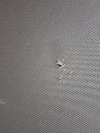 фото thumb №8, Панорама audi a4 b9 універсал 8w9877041b