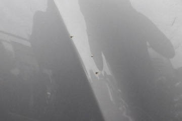 фото thumb №5, Alfa romeo 159 капот крышка камеры двигателя шумоизоляция